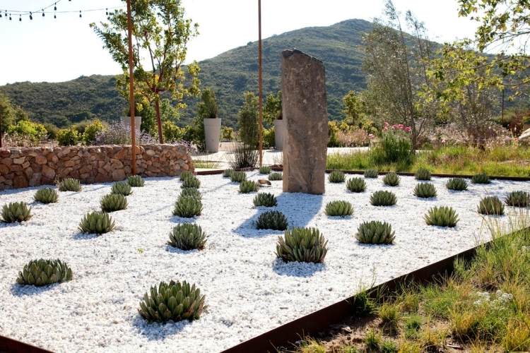 dekorativ-grus-i-trädgården-design-vit-sten-torr-växt-sten-modern-intressant