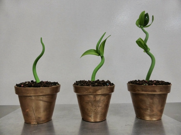 Repot klipp idéer-krukväxt