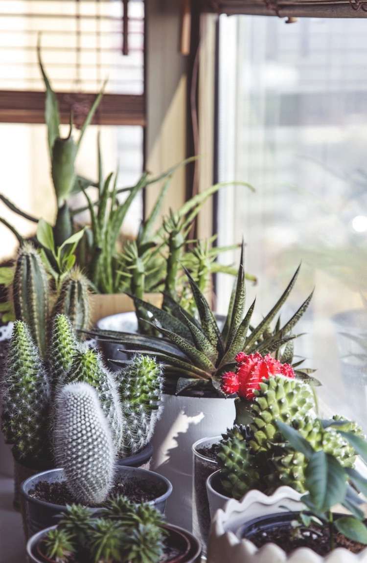 Planters för inomhus-inomhus-inomhus-växt-blomkrukor-dekorativa-fönsterbrädan