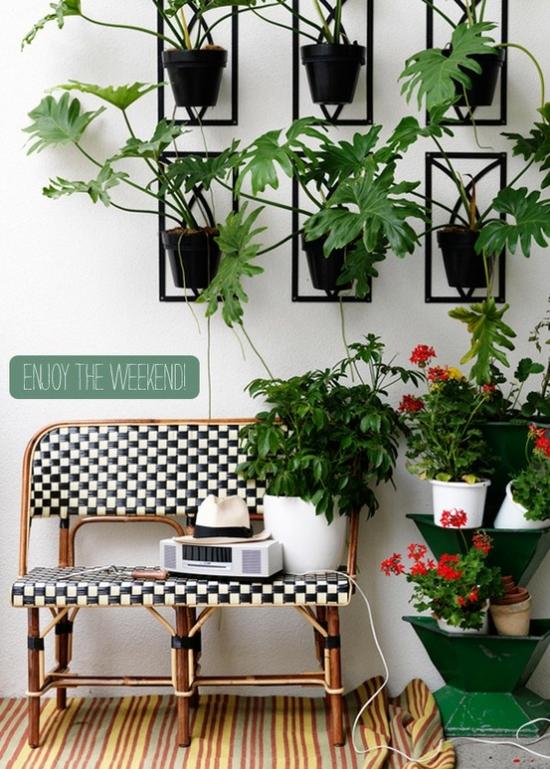 Grön vägg växter bänk design