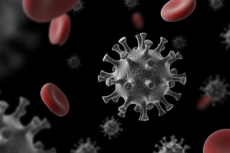 coronavirus sprider sig i blodet med röda blodkroppar