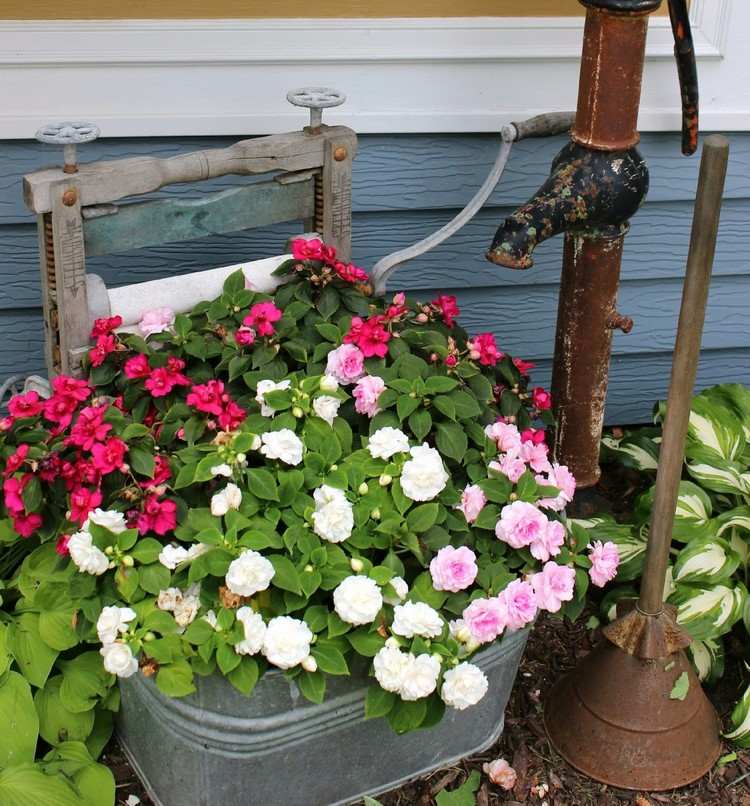 Zinkbalja planterar blommor-kombinerar färger