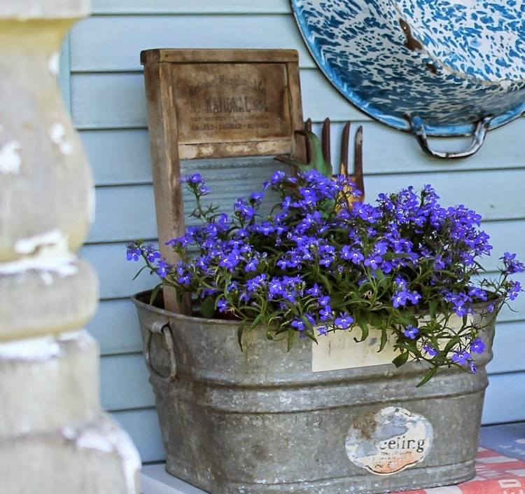 zink badkar-plantering-lobelia-blå-vacker-idé-trädgård