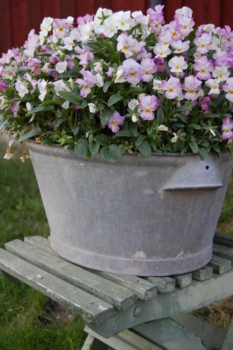 zink badkar-växt-trädgård-vackra-design-blommor