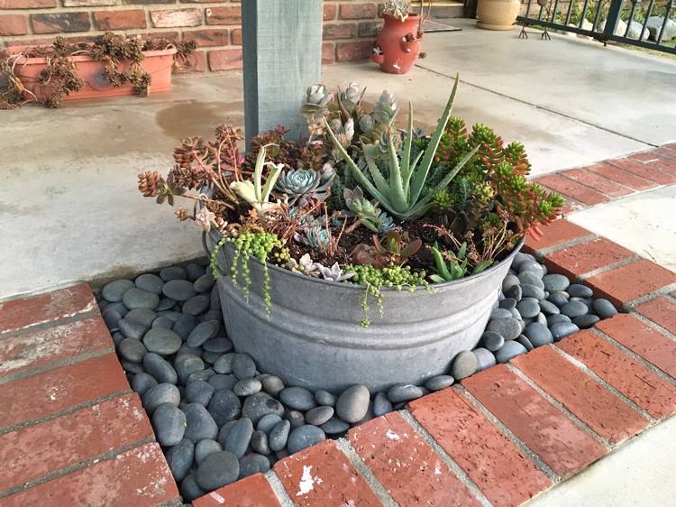 zinkbalja-plantering-idéer-succulenter-kombinera