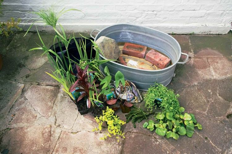 zink badkar-plantering-mini-damm-design-växt-idéer
