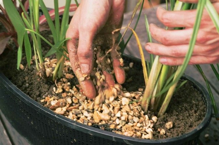 zinkbalja-plantering-mini-damm-fyllning-sten-plantering
