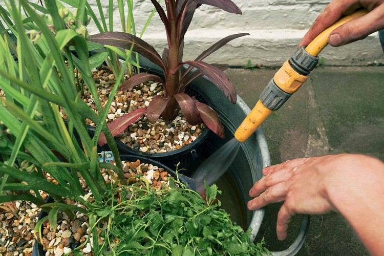 zink badkar-plantering-instruktioner-mini-damm-vatten