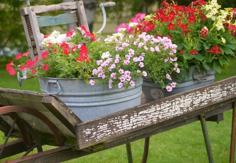Zinkbalja planterar blommor-stauder-trädgårdsarbete-idéer