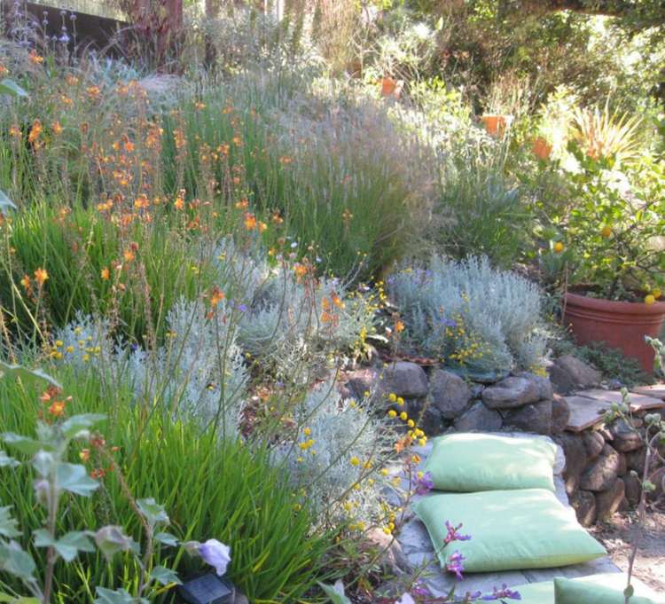 Cypress heliga örtväxter trädgård design-tips-vård-bänk-höjd säng